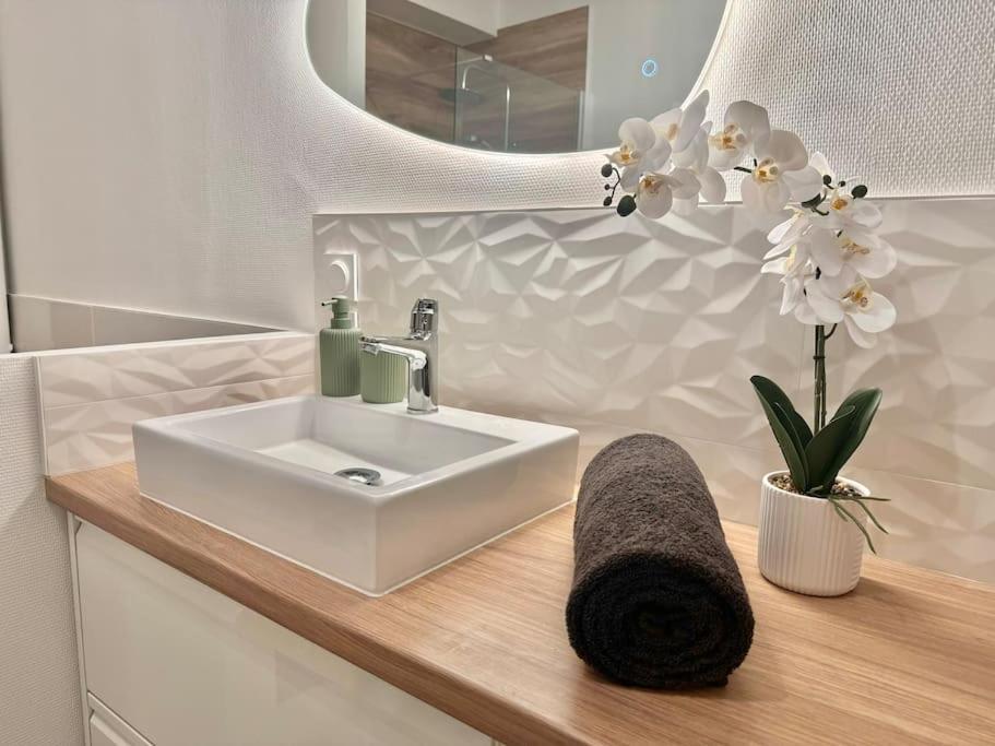 Apartamento L'Orchidee - Netflix - Wi-Fi - Proche Centre Troyes Exterior foto